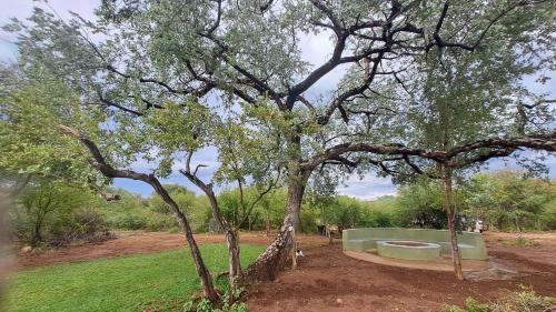 Tsumeb Autre | ZuriCamp - Campsite Safiri