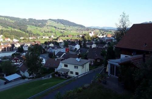 Neu St Johann Appartement | Zwinglis Ferienwohnung Rosi