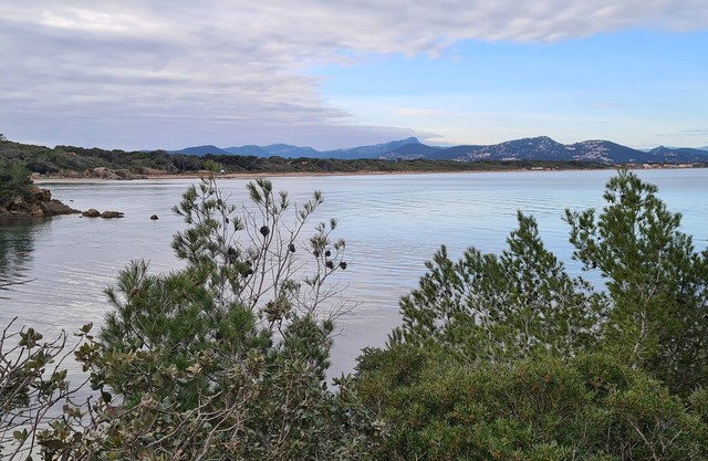 Ô Salins Presqu'ile DE Giens Rez-de-jardin 6 Personnes, 150m Plage, Wifi Clim