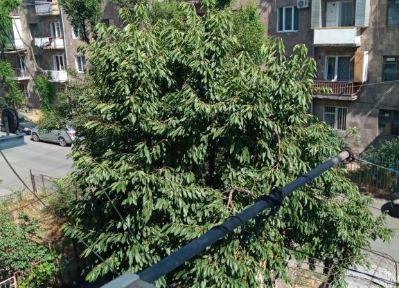 Квартира для семьи