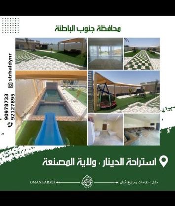 استراحة الدينار