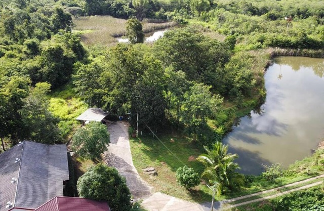 ครอบครัวบ้านบนภูเขา Family Mountain Home