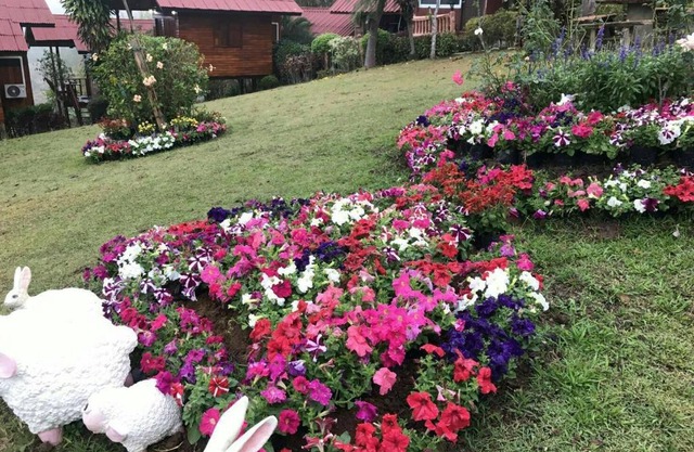ภูน้ำทิพย์ รีสอร์ท