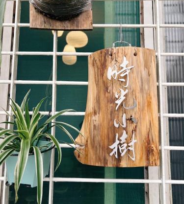時光小樹