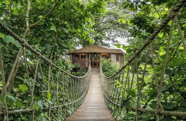 Wake up to birds chattering amongst the trees and panoramic views of the leafy surrounds.