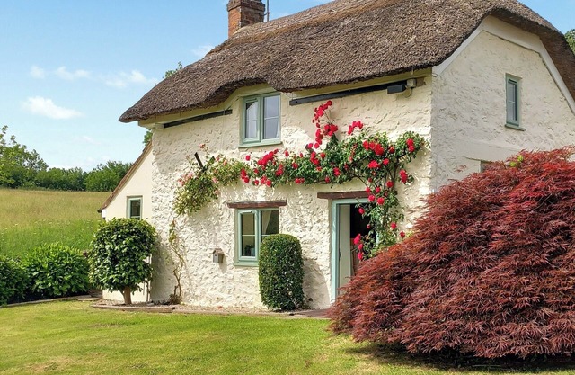 Hébergement 1 chambre à Netherbury, près de Beaminster