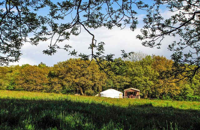 Nestled within the glorious Gower, Peninsula.