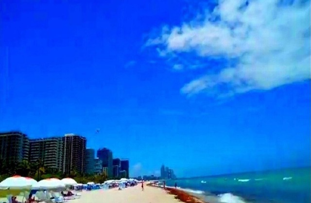 1 bedroom Miami Beach Florida.