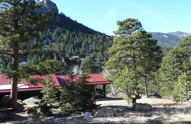 Bunkhouse @ Old Man Mountain, à pied au centre-ville Estes Park, vues, PNMR 3 miles