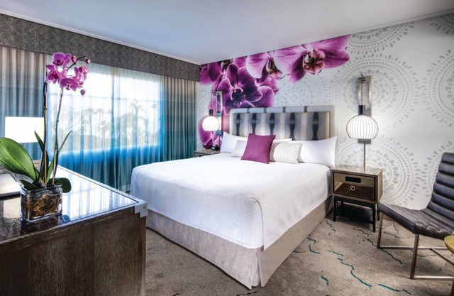1-Bedroom Suite at a 4⭐️ Hotel
