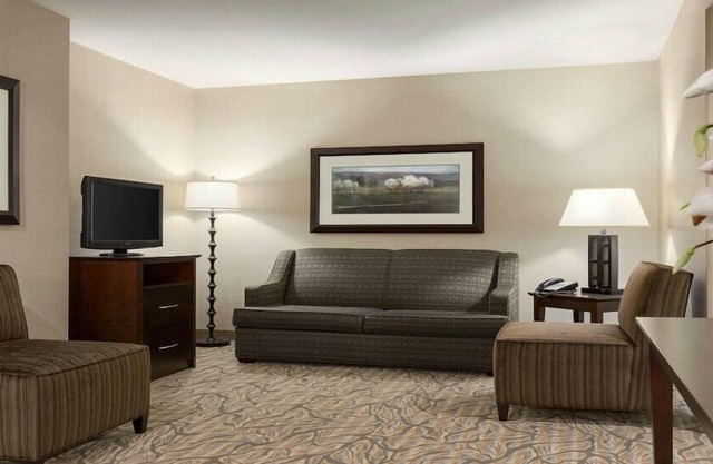 1-Bedroom Suite at a Hotel