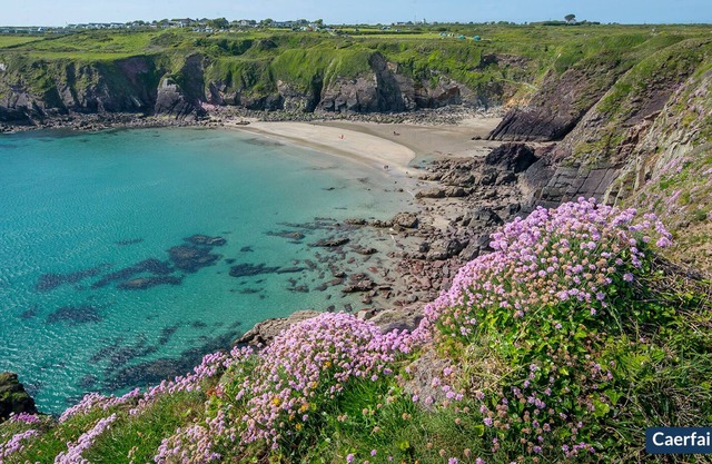 1 Grove Stables, Holiday Cottage St Davids, Sleeps 8, 4 bedrooms, bathrooms
