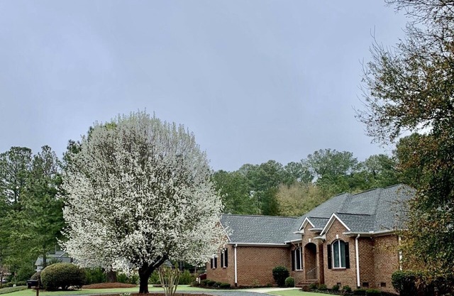 1 Mile From PCC Golf Course One Level Home