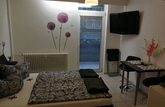 Appartement 1 pièce PETIT mais FIN