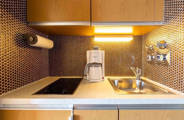 1-Room-Apartment (Type 1)