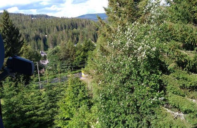 1 holiday apartment Spatzennest, 34 sqm, 1 living room/bedroom, max. 2 people