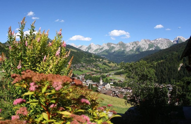 Rez-de-chaussée, remise en forme, piscine, sauna, parking, télévision, casier à ski, 60m²
