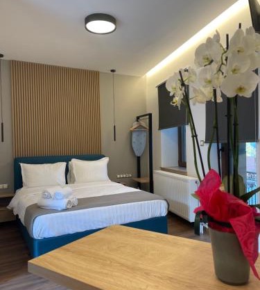 11 Luxury apartments.