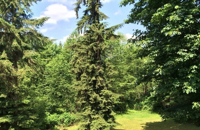 14 acres de forêt privée - Grand 1400 pieds carrés Apt - Mins. Depuis les commodités et l'autoroute