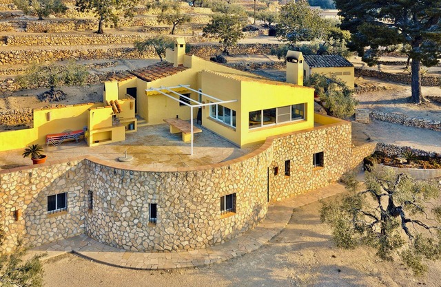 Your vacation paradise in the olive grove!