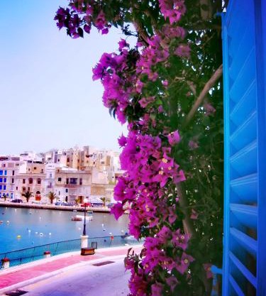 1500 Little Pink House in Kalkara Creek