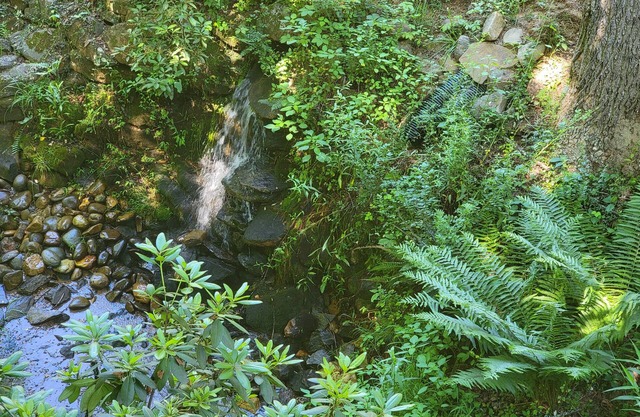 1660 Guest House; Waterfall, Creek, Large Deck, Fire Ring