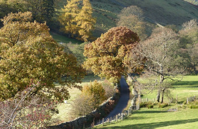 Ferme C17 avec des vues spectaculaires sur Martindale et vers Ullswater.