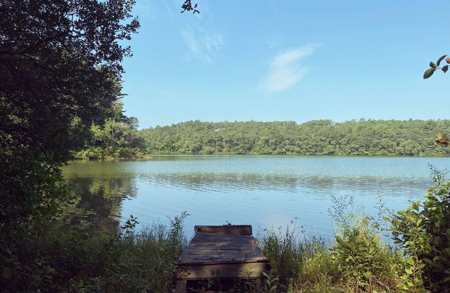 1897 Pond View Guest Cottage