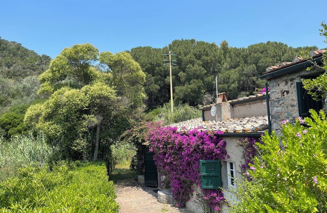 8th Century Water Mill With Private Garden Torrent