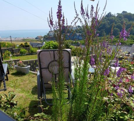1960's Cornish House