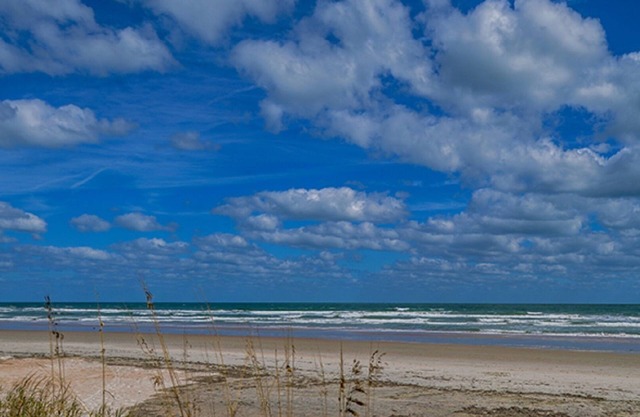 ORMOND BEACH ~ 1 Bd Condo ~ Cove sur la plage d'Ormond ~ CUISINE complète / BALCON / BASSIN JETTED