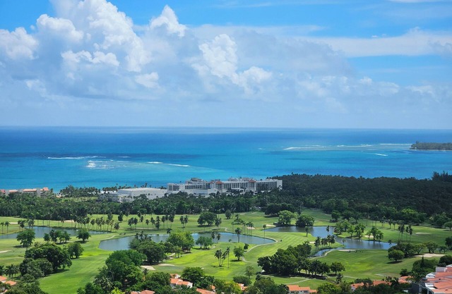 1Bed/1.5Bath Ocean View Condo at the base of the Rainforest.