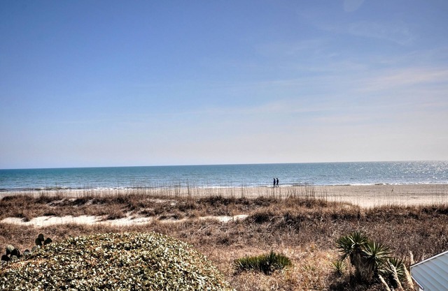 1BR Direct Ocean Front with Ocean Front Pool - walk to everything!-