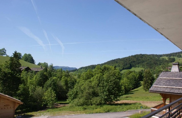 2ème étage, balcon, parking, télévision, casier à ski, 26m², Le Grand Bornand