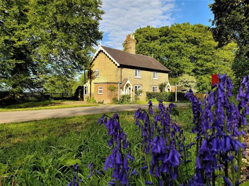 2 Bed in Alford 77637