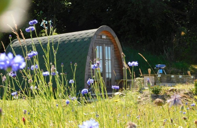 Cosy Pod-Cabin near beautiful landscape in Omagh