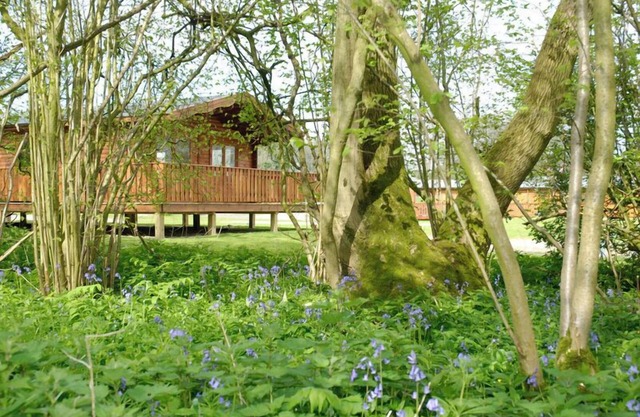 2 bedroom, 5 star, award winning Scandinavian Lodge (sleeps 4)