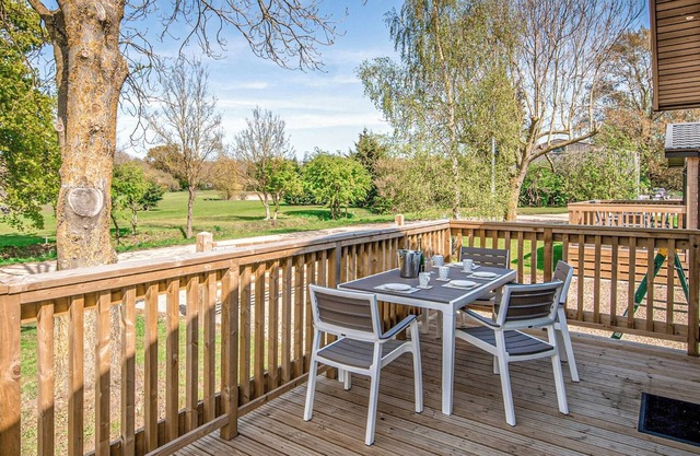 Luxury and stylish lodge with spacious open-plan living area and well-equipped kitchen.