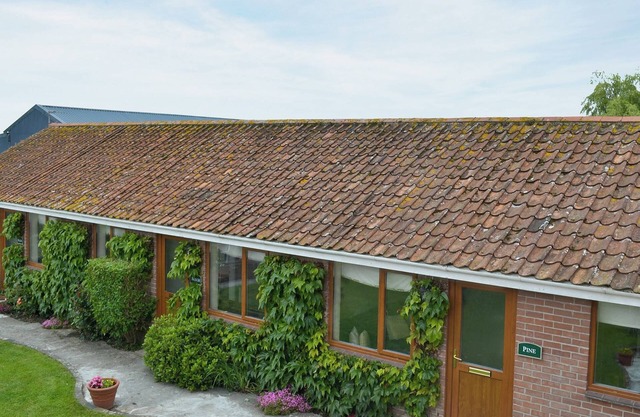 Alojamiento de 2 habitaciones en East Huntspill, cerca de Highbridge