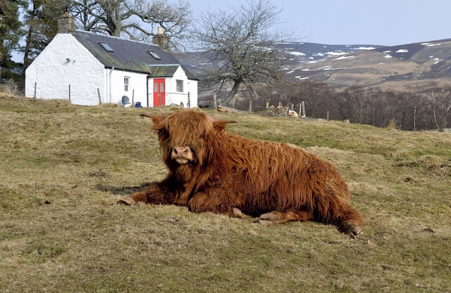 2 chambres à coucher à Glenprosen, by Kirriemuir