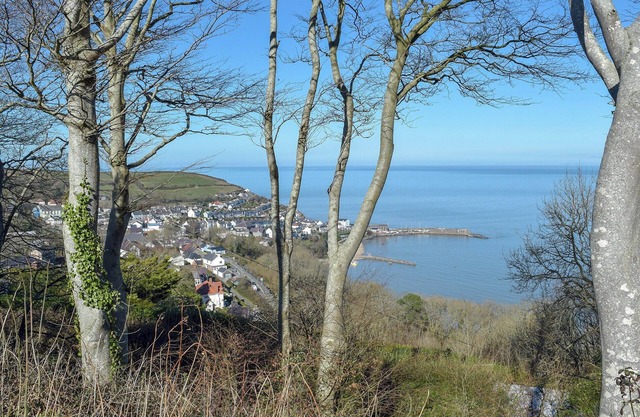 2 bedroom accommodation in New Quay