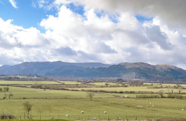 Hébergement 2 chambres à Bassenthwaite, près de Cockermouth