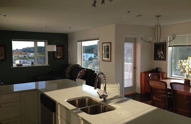 2 chambres Apt RIVER & VUE MONTAGNE, AU COEUR DE WHITEHORSE - condo