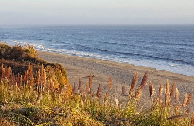 "Beach Retreat Villa 2 Bedroom 2. 5 Bath" .. Excellentes vues sur l'océan! Seascape Resort