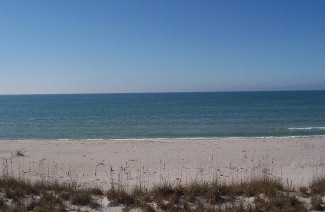 2 bedrooms, 2 bath Cottages, Palm Island, Beach Access, Heated Pool, Boat Dock