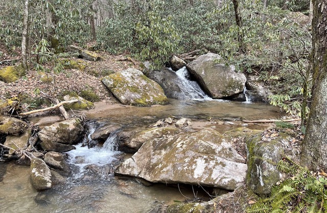 2 BR 2 BA house on Buck Mountain with mountain views!