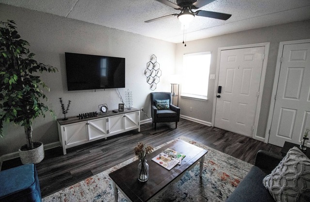 2 Br Apt w/pool and fast Wi-fi