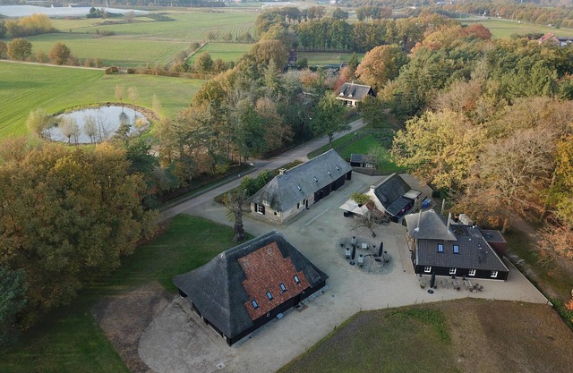 2 hébergements de luxe à l'orée de la forêt