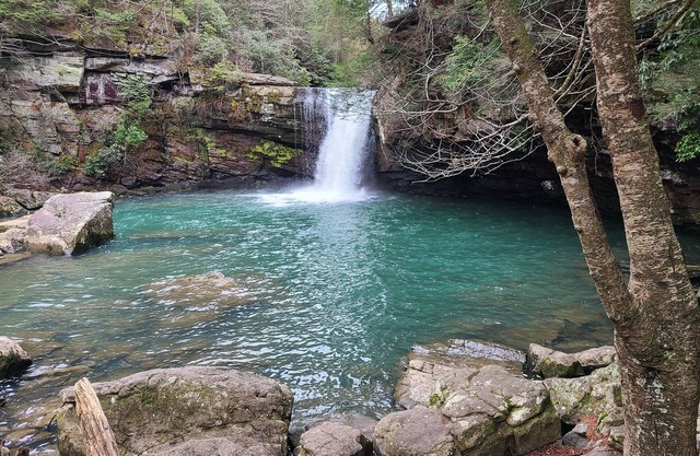 Chalet Sherman, UPSCALE 2BD / 2BA à Fall Creek Falls