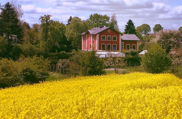 Appartement de 2 pièces dans la Villa Landwehr Kiel et près du canal
